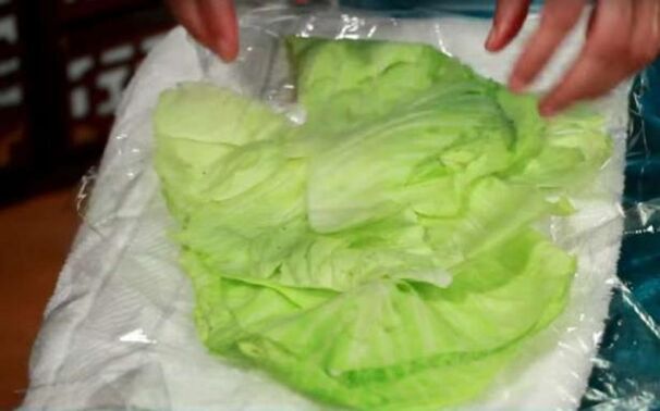 Cabbage compress for pain caused by joints of the shoulder joint